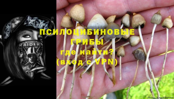 гидропоника Алексеевка