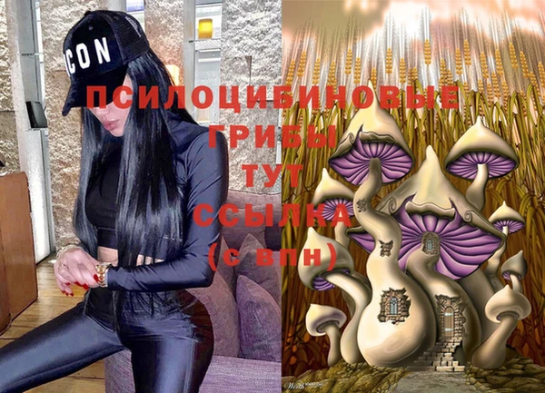дистиллят марихуана Магас