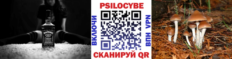 продажа наркотиков  Минусинск  Галлюциногенные грибы мицелий 